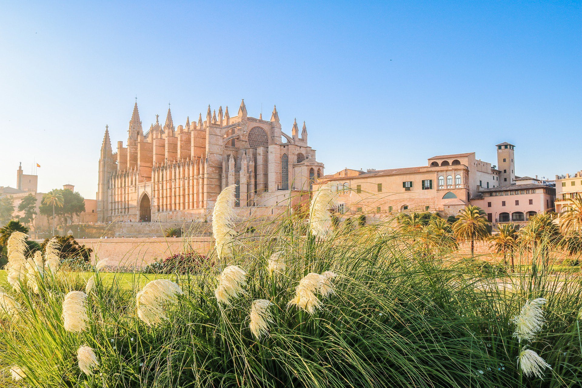 Die Kathedrale von Palma ist berühmt für ihre gotische Fensterrose, die größte dieses Stils und eine wahre Augenweide