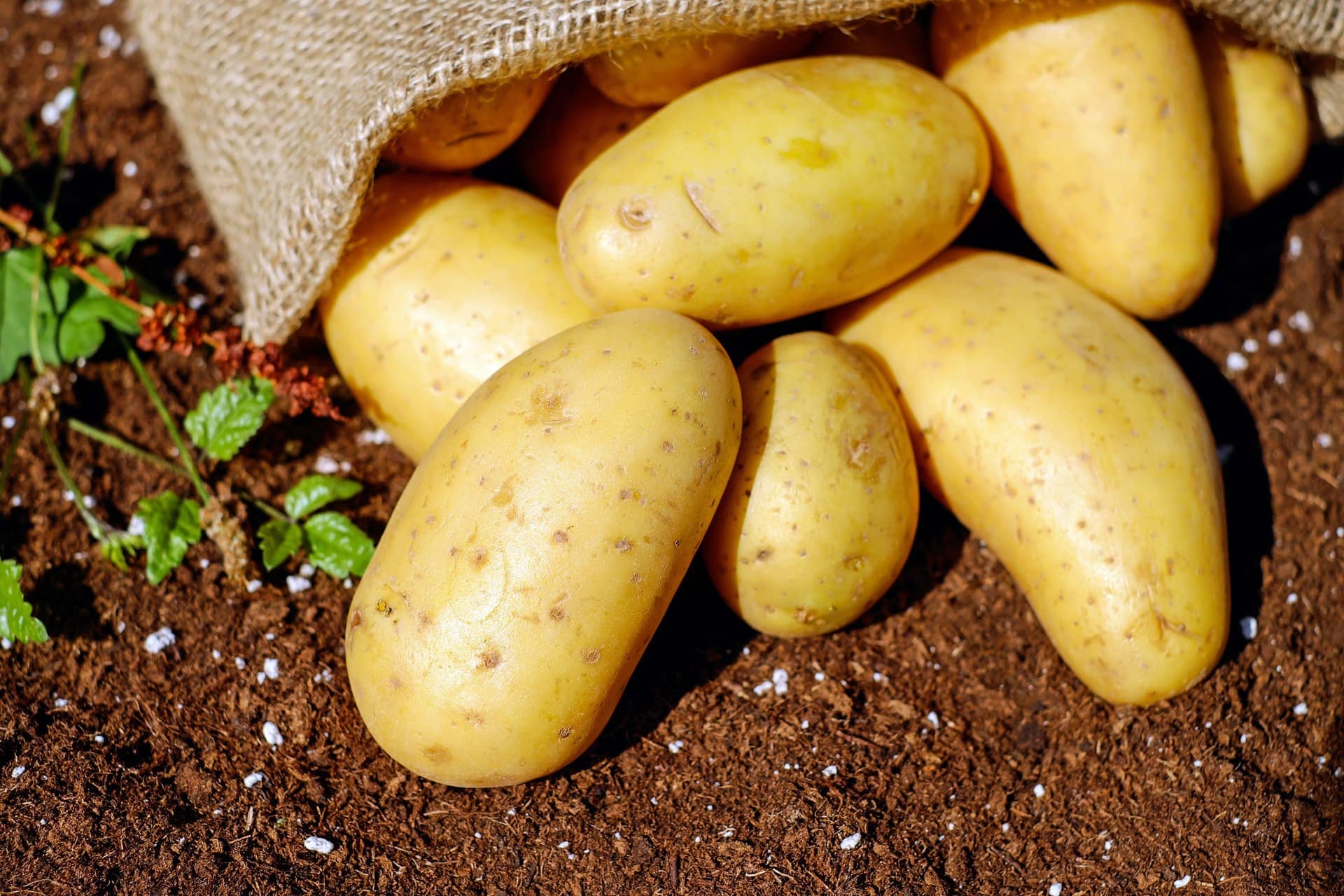 Gourmet 12 receta de patatas al horno